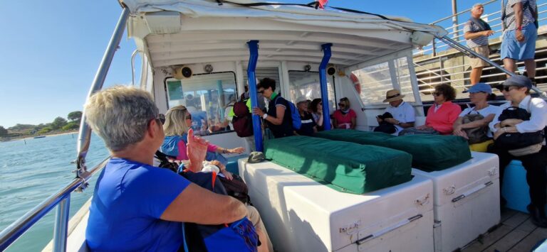 cap F bateau