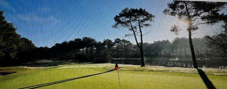 F3DEF48D-A037-4191-985D-C3BE85044D7C