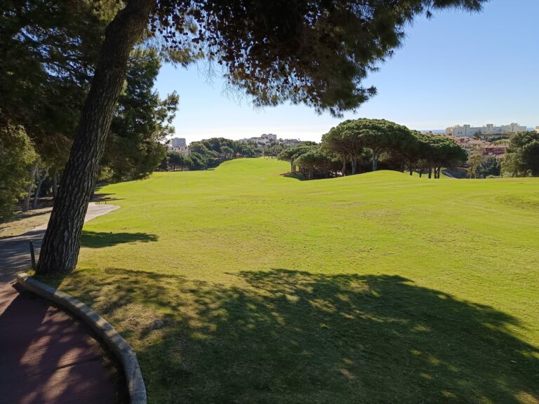 3d01d585-ae4d-470c-a658-1031f66def3f